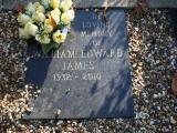 image of grave number 679485